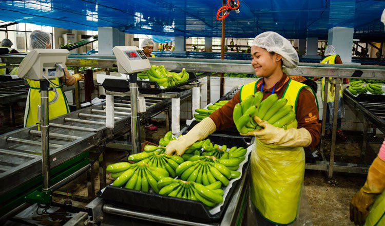 ‘Vietnamese firms keen on investing in potential sectors in Kingdom’